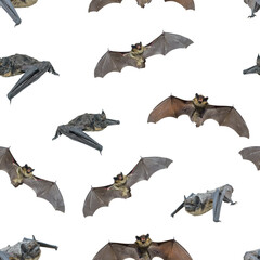 Poster - Small bats, seamless pattern.