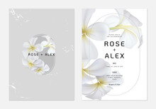 Floral Wedding Invitation Card Template Design, White Plumeria Flowers  With Leaves On Bright Grey And White