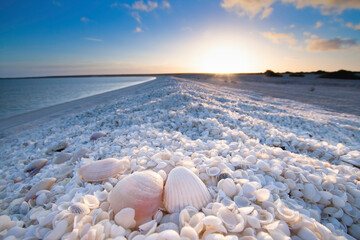 Summer holiday sunrise in Shell Beach, Monkey Mia, Shark bay Western Australia