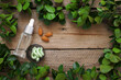 © Svetlana Lukienko - Natural organic cosmetics and greenery