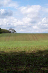 Wall Mural - Some rolling farmland hills in southern Sweden