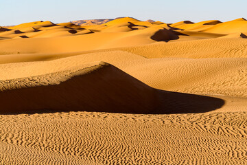 Dunes of the Sahara desert