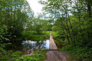 Wall Mural - wooden bridge over the river in the forest