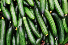 Cucumbers On The Counter In The Store. Harvest Cucumbers From A Farm Bed