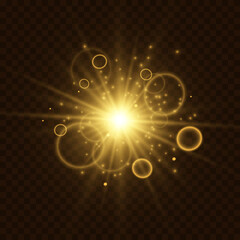 Poster - Glowing lights effect. Star burst with sparkles