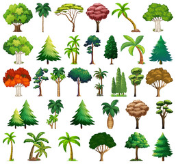 Wall Mural - Set of variety plants and trees