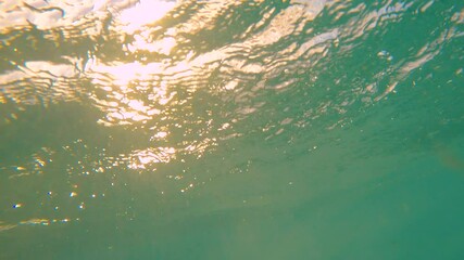 Wall Mural - SLOW MOTION, CLOSE UP: Small tube wave sweeps over the camera on a sunny summer evening in the Caribbean. Idyllic shot of a turquoise barrel wave rolling over the camera filming the golden sunset.