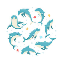 Dolphin Banner Template, Marine Sea Creature Pattern Of Round Shape Vector Illustration