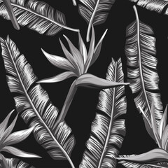 Wall Mural - Creative black white seamless illustration bird of paradise, strelizia flowers and palm, banana leaves on the black background. Design fabric pattern, trendy foliage wallpaper.