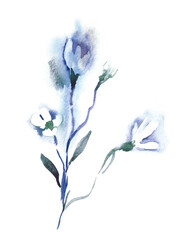 Wall Mural - Watercolor Spring Flowers