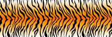 Pattern Striped Tiger Or Zebra Skin Print Background, Long Banner Animal Fur, Hair Skin Texture, Seamless