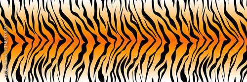 Fototapeta Pattern striped tiger or zebra skin print background, long banner animal fur, hair skin texture, seamless