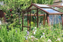 Landscape View Of Glass Greenhouse With Wood Frame Full Of Vegetables Plants In Summer With Plants Flowers In Full Bloom And Green Grass Lawn In Organic English Country Garden In Sun With Blue Skies 
