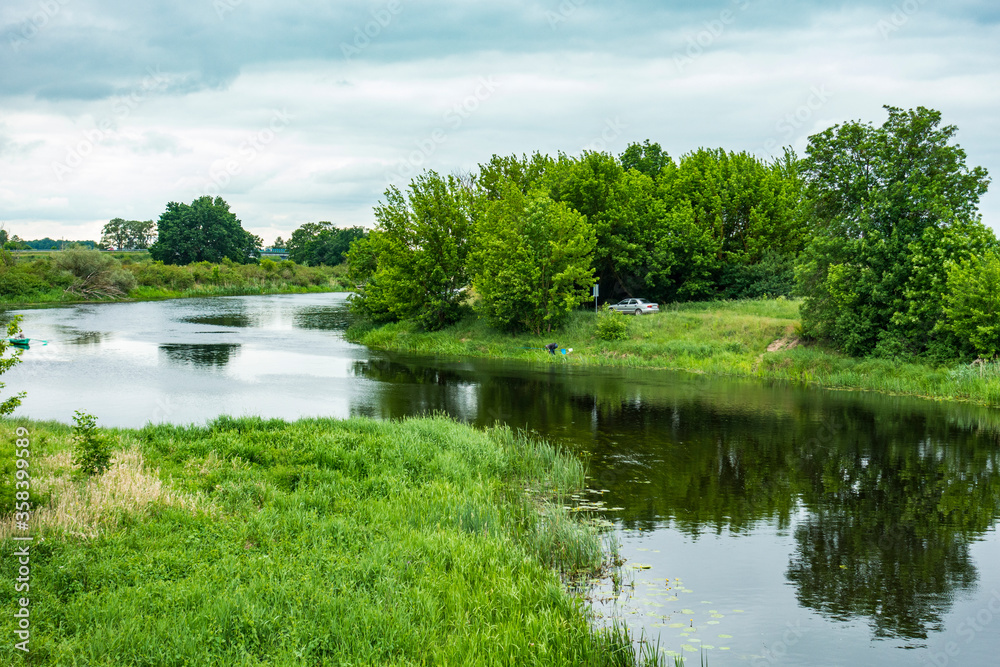 Biebrza Podlasie Biebrzański Park Narodowy Rzeka woda drzewa przyroda - obrazy, fototapety, plakaty 