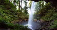 Panning Time Lapse Shot Of Horsetail Falls Amidst Green Plants And Trees In Forest