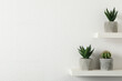 © New Africa - Beautiful artificial plants in flower pots on shelves. Space for text