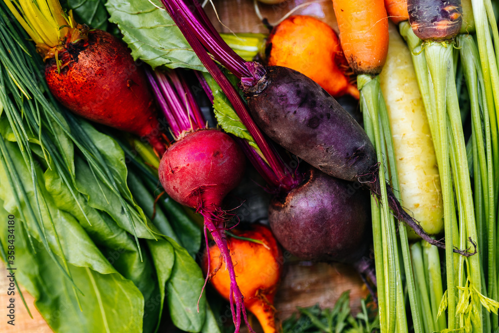Root Vegetables like Beets and Carrots Stock Photo | Adobe Stock