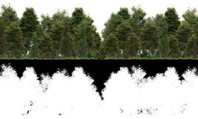 Wall Mural - Horizon Summer Tree Line available for loop.. 10K x 3K Resolution. Tileable. For create Infinite Nature Background for composition use. Include Alpha Mask Opacity Map for delete Background.