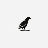 Fototapeta Młodzieżowe - logo raven templet vector