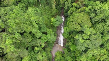 Canvas Print - Aerial drone footage of rainforest with river and waterfall