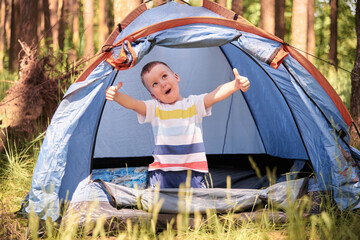 the child enjoys life being in a tent in a pine forest. the concept of a healthy lifestyle