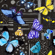© zzorik - Butterflies. Seamless background with butterfly. Watercolor and ink geometry backdrop on black texture. Lines, dots, letters