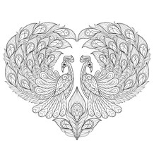 Peacock Heart. Hand Drawn Sketch Illustration For Adult Coloring Book