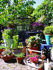 Urban garden,  small or mini English flowers vertical patio garden nice and green fresh start of the spring for growing your own vegetables.
