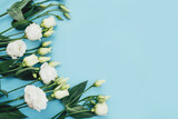 Fototapeta Tulipany - Fresh white flowers on a blue pastel background. Spring minimal concept.