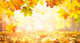 Fototapeta Natura - Beautiful autumn nature background with carpet of orange and yellow fallen maple leaves in sunlight. Autumn landscape with blurry defocused park in background.
