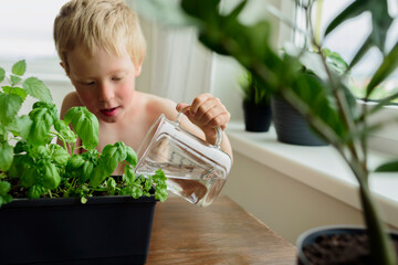 Child taking care of plants at home inner garden