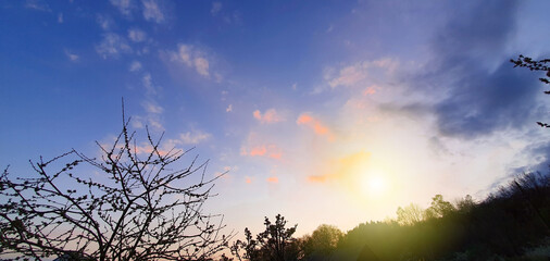 Wall Mural - Colorful dramatic sunset with clouds and trees.