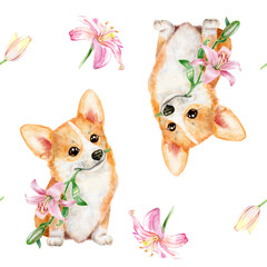 Seamless pattern with corgi and flowers