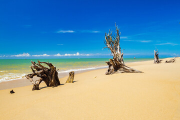 Wall Mural - Tropical beach of beautiful Koh Kho Khao island in Thailand