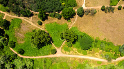 Aerial view of Caffarella park in Rome, Italy. There are many trees, bushes and green grass on this beautiful spring day.