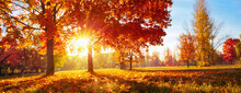 Autumn Landscape. Fall Scene. Trees And Leaves In Sunlight Rays