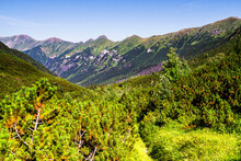 Tatras National Park, Slovakia