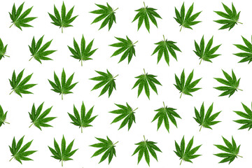 Hemp leaves background