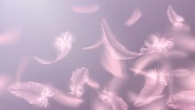 Flying Pink Bird Or Angel Feathers, Lightness And Tenderness Of The Background