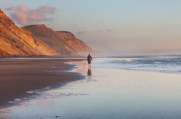 Canvas Print - New Zealand coast