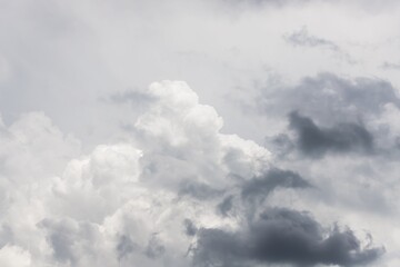 Wall Mural - Dramatic gray clouds in the pale gray sky