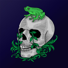 T Shirt Design Hand Drawn Skull And Frog Vintage Style 