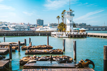 San Francisco Fisherman's Wharf With Pier 39 With Sea Lions, California, USA