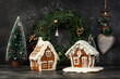 © Vaceslav Romanov - Decorated gingerbread houses christmas cookies with christmas wreath on dark table