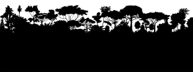 Wall Mural - forest silhouette deciduous. vector. summer landscape. jungle.