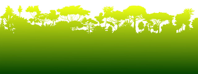 Wall Mural - forest silhouette deciduous. vector. summer landscape. jungle.