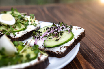 Wall Mural - sandwiches with microgreens, cucumber and quail eggs on a white plate. wooden background. a kind of sunny glare. healthy diet. feed option. young sprouts of radish and red cabbage