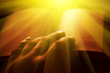 Hand holding open book in dark. Macro image.