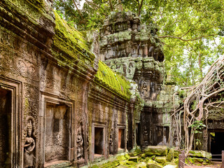 It's Tree roots over the Ta Prohm (Rajavihara), a temple at Angkor, Province, Cambodia. It was founded by the Khmer King Jayavarman VII as a Mahayana Buddhist monastery and university.