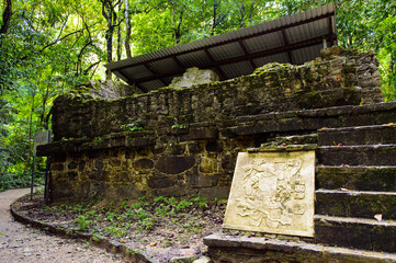 Wall Mural - Temple and jungle of Palenque, was a pre-Columbian Maya civilization of Mesoamerica. Known as Lakamha (Big Water). UNESCO World Heritage